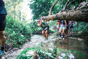 BIB: 
                            <button type="button" onclick="openModal(25450149)" class="btn btn-primary btn-sm float-right btn-popup" data-toggle="modal" data-target=".modal-high-quality">
                        <i class="fas fa-shopping-cart"></i> Add to Cart
                    </button>
                                            <button type="button" onclick="isThisMe(25450149, true)" class="btn btn-success btn-sm float-right btn-popup btn-isme hidden" data-toggle="tooltip" data-placement="bottom" title="นี่คือรูปของคุณใช่ไหม คลิกที่นี่เพื่อเอาเข้าอัลบั้ม">
                        <i class="fas fa-plus"></i> Add to album
                    </button>
                    <button type="button" onclick="isThisMe(25450149, false)" class="btn btn-warning btn-sm float-right btn-popup btn-isnotme hidden">
                        <i class="fas fa-ban"></i> Remove from album
                    </button>